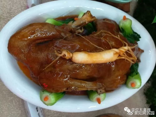 你好啊 我不是药神,我是药都